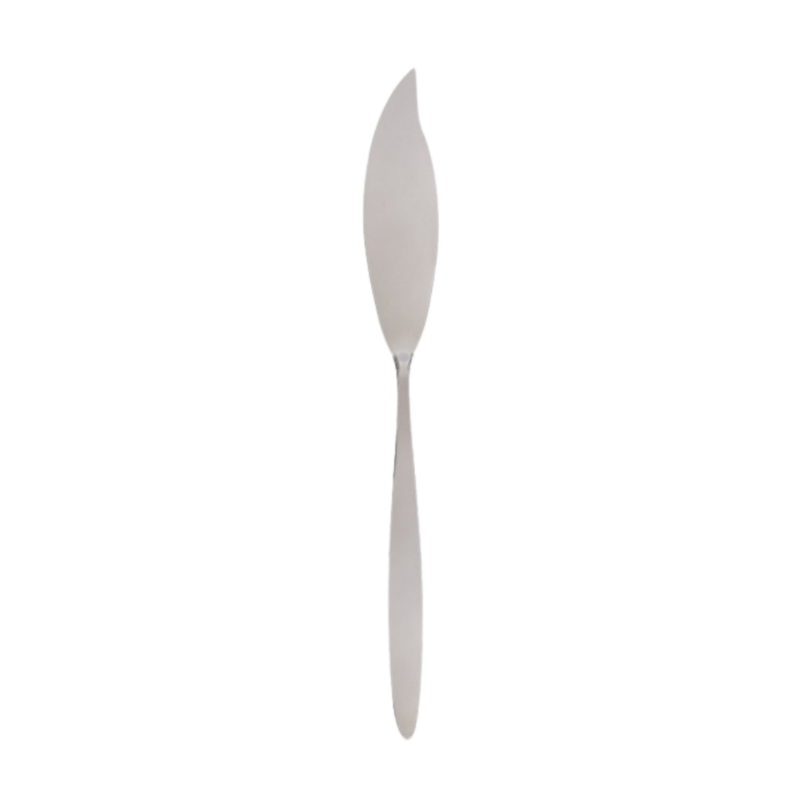 Location couteau à poisson inox Pirogue