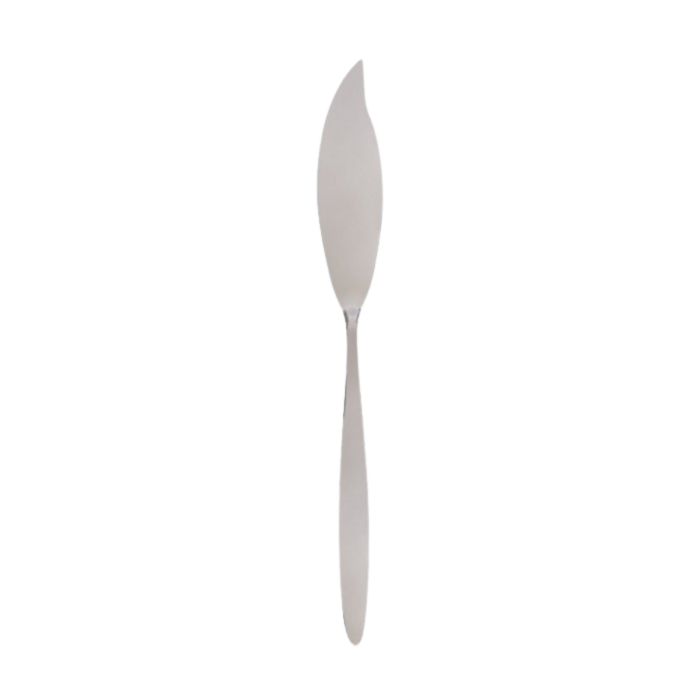 Location couteau à poisson inox Pirogue
